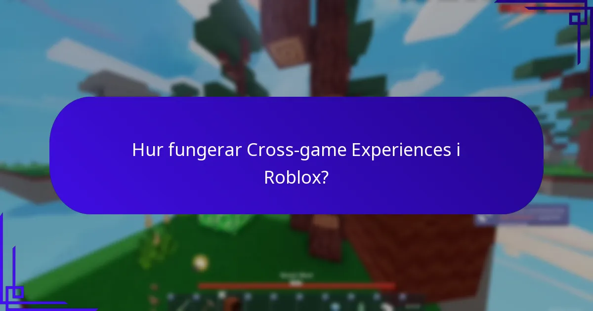 Hur fungerar Cross-game Experiences i Roblox?